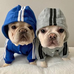 City Strider Sweatsuit color and size options