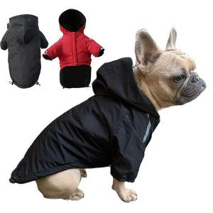 Dog Face Coat product detail view