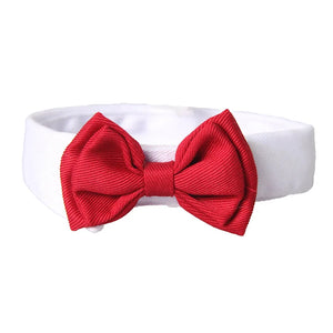 Tie Bow classic dog collar bow accessory