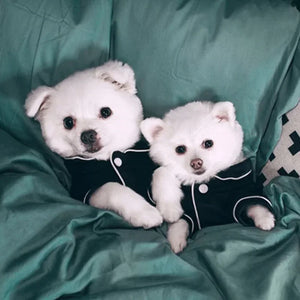 Midnight Snooze Suit in use with a pet
