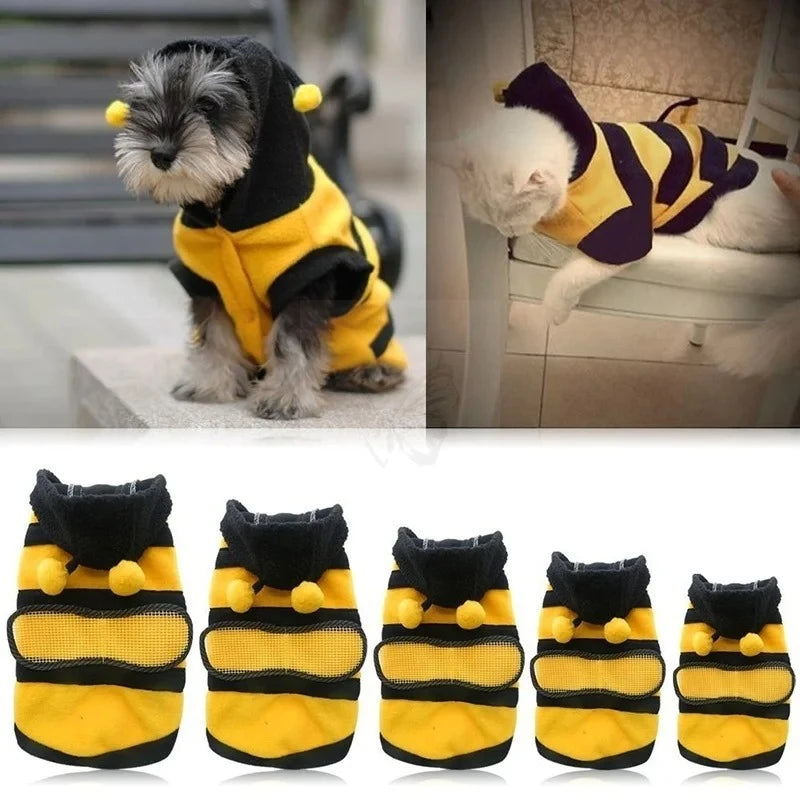Bumblebee Buzz Pet Hoodie