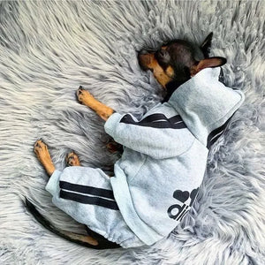 City Strider Sweatsuit in use with a pet
