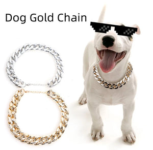 Street-Cred Collar in use with a pet