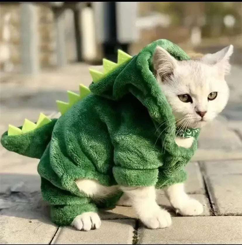 Tiny Titan Dino-Hoodie