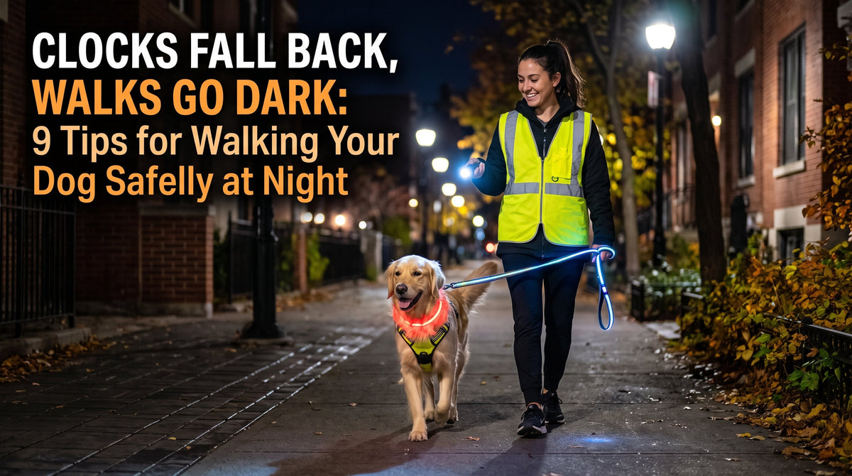 Clocks Fall Back, Walks Go Dark: 9 Tips for Walking Your Dog Safely at Night