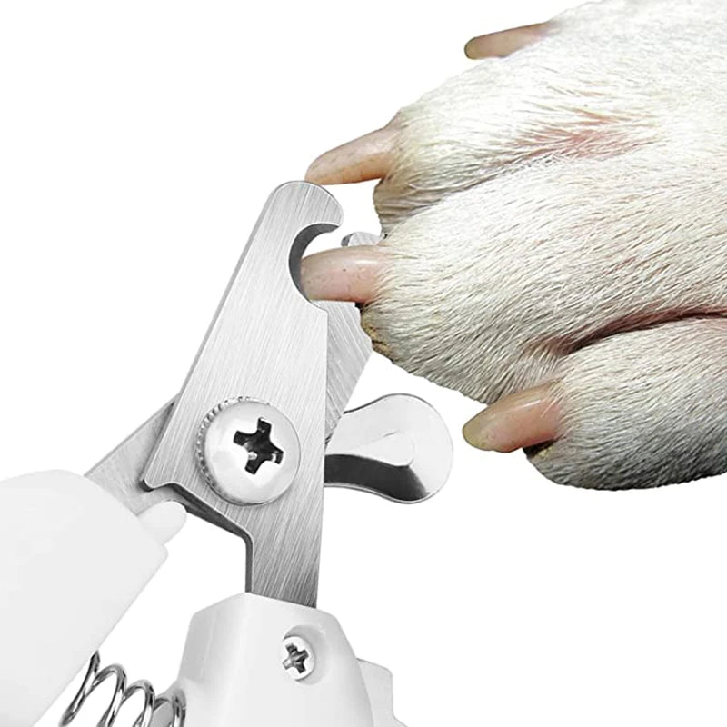 Nail Care