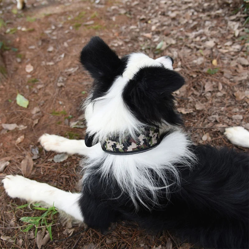 Tribal Collar