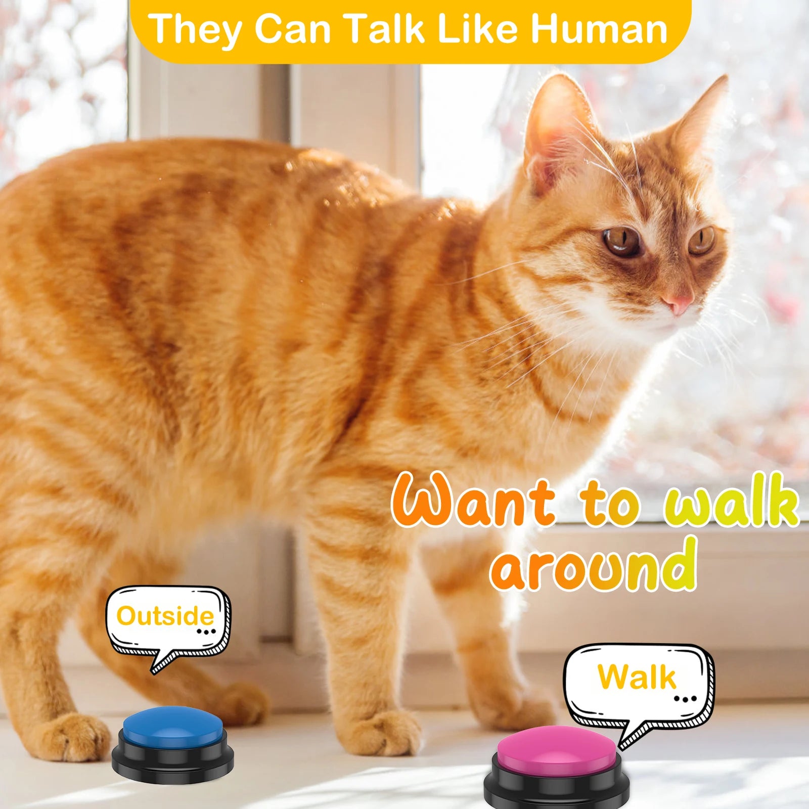 Training Clicker