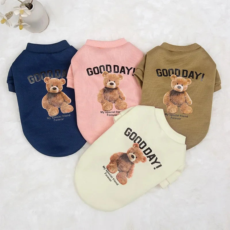 Bear Buddy
