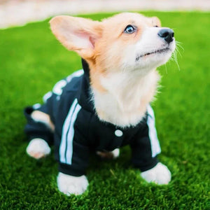 Adidog Athletic Fit color and size options