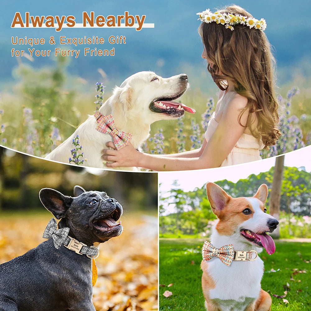 Pretty in Pink Personalized Collar