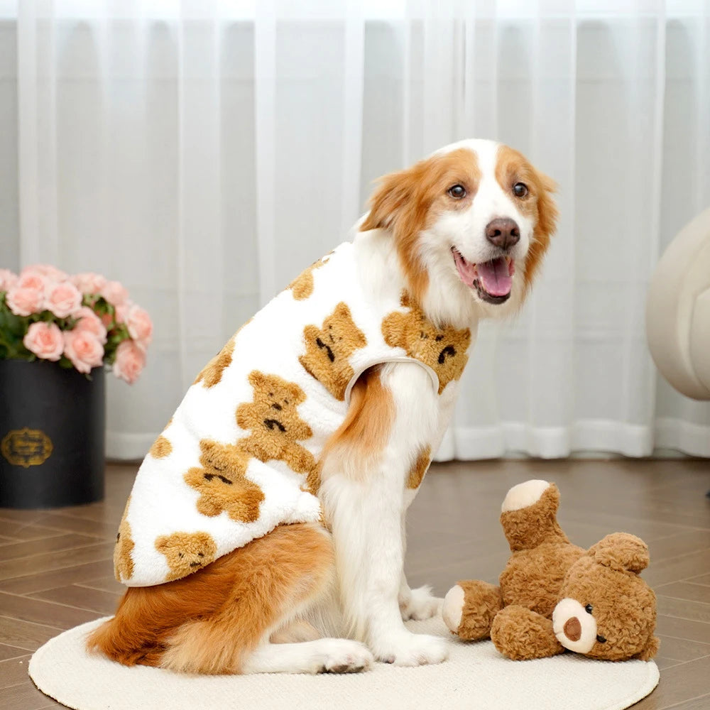 Cute Bear
