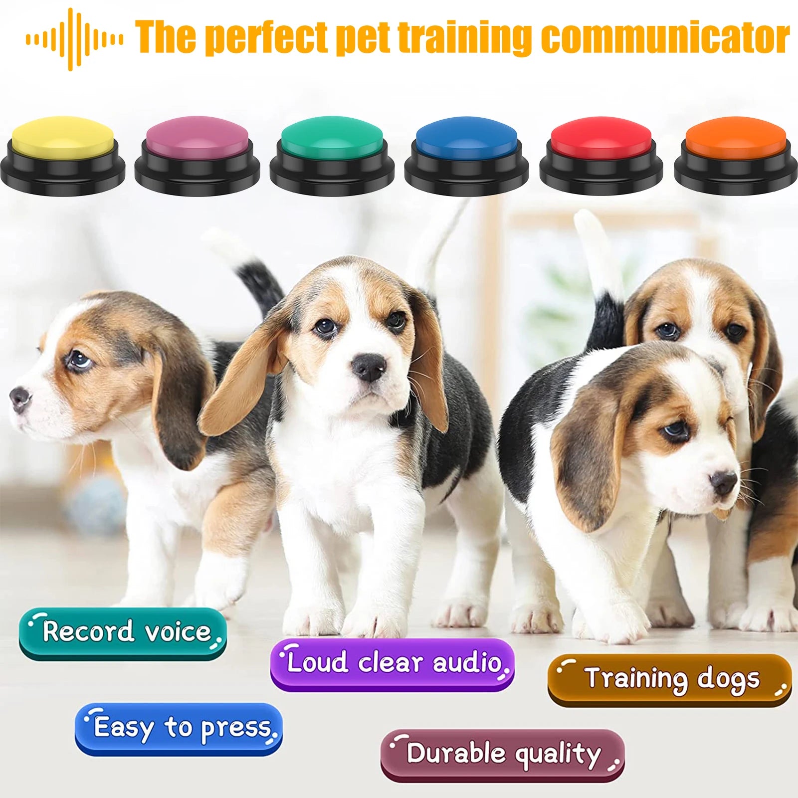 Training Clicker