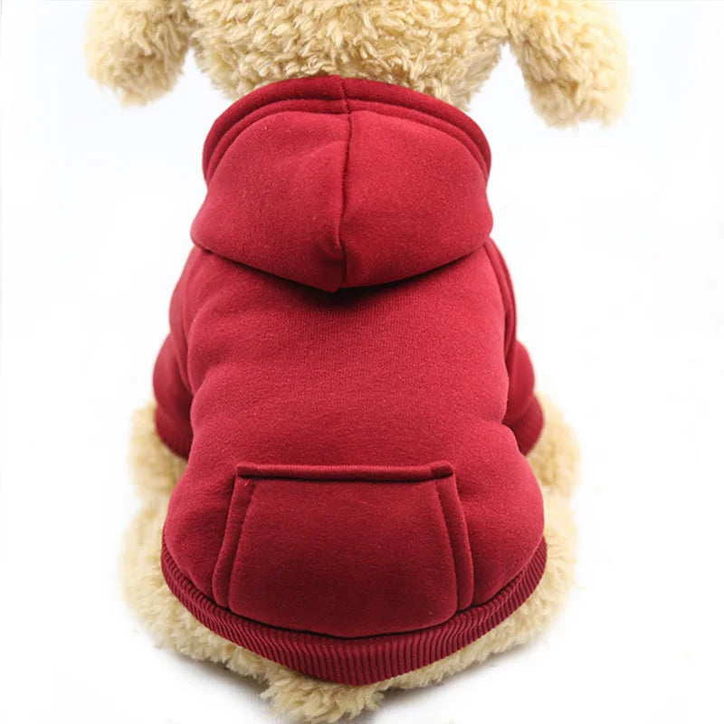 Pocket Paw