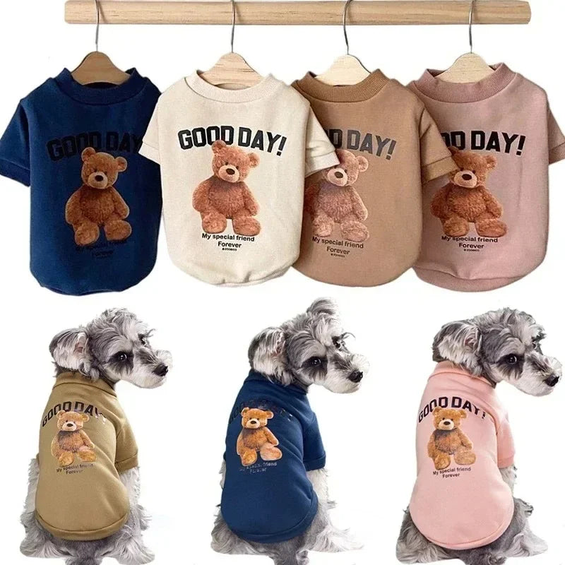 Bear Buddy