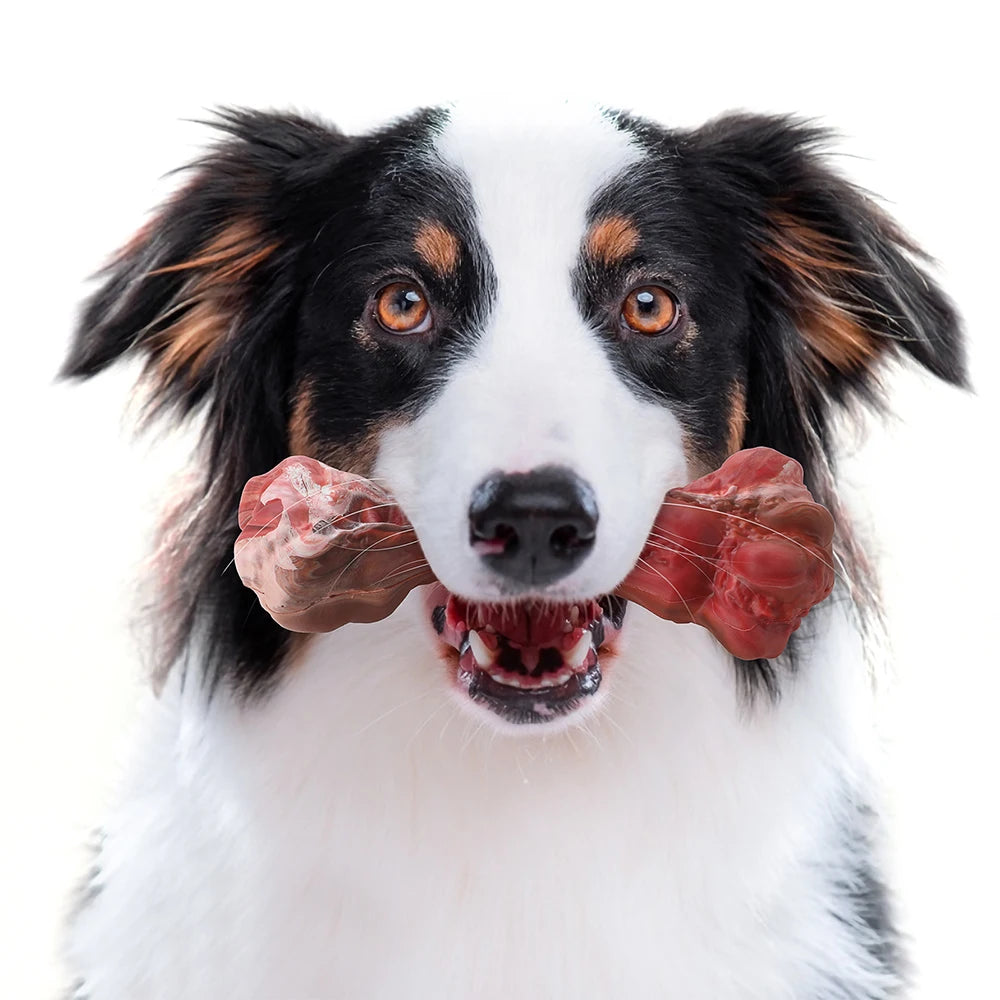 Pawparazzi