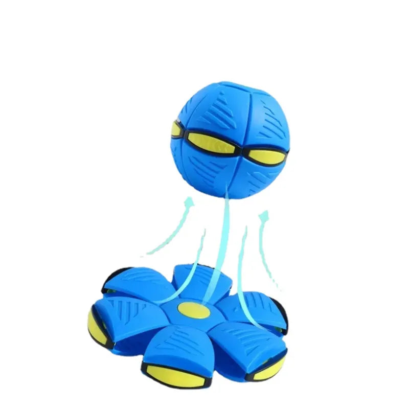 Zoomie Zinger Ball