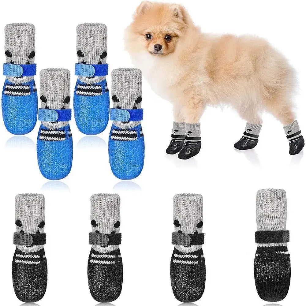 Paw Guard