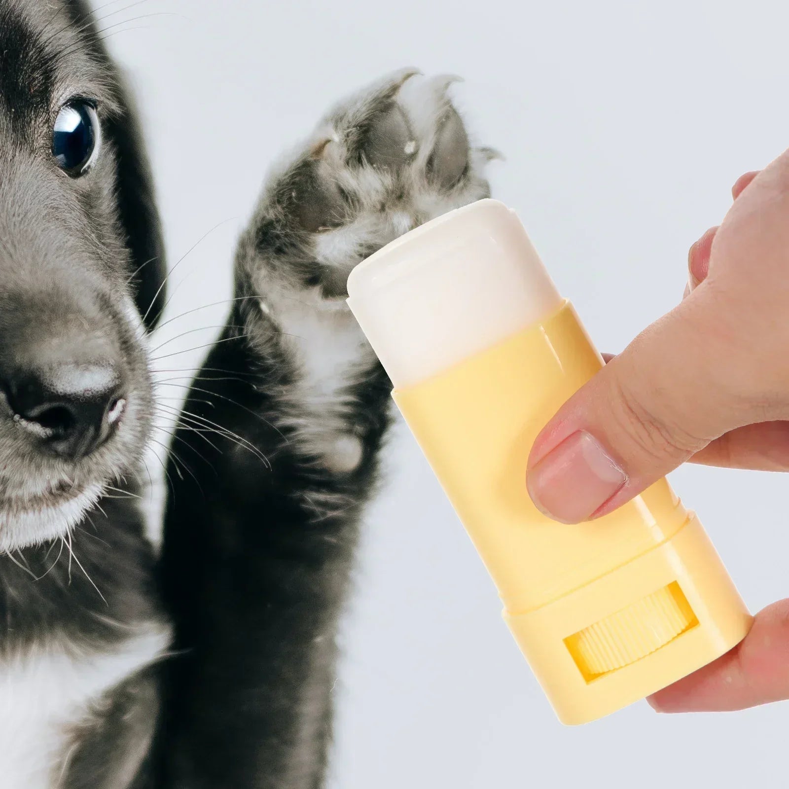 Paw Butter