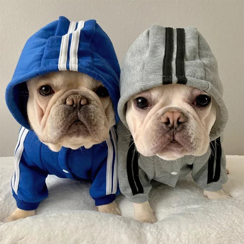 City Strider Sweatsuit color and size options