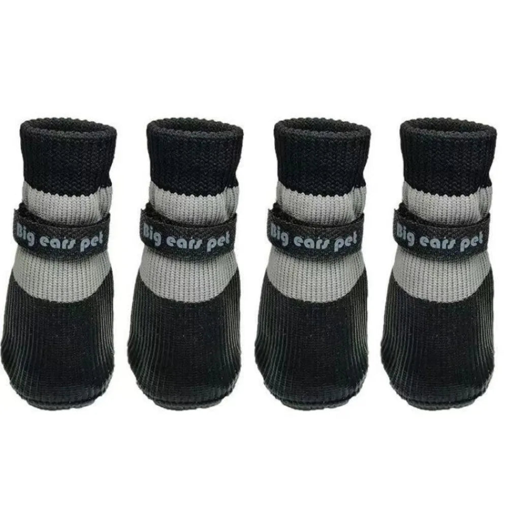 Paw Guard