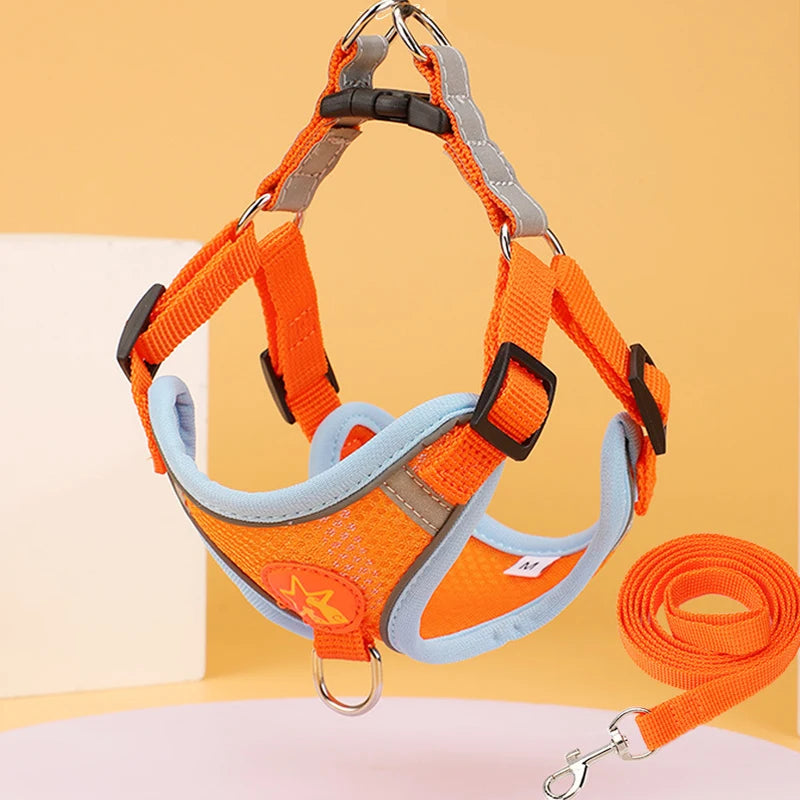 Orange Pop