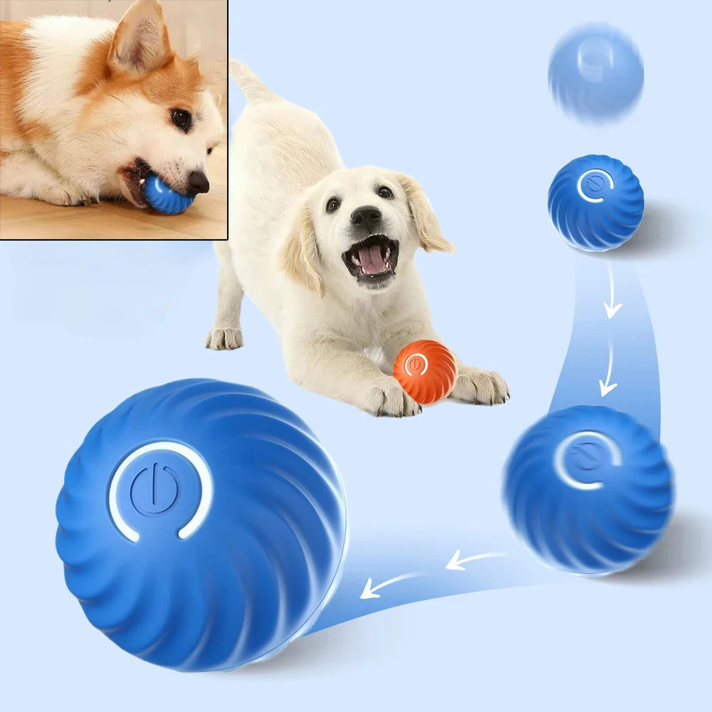 Wagging Wheel