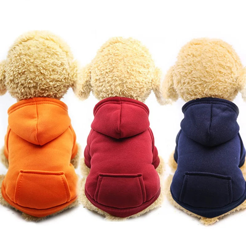 Pocket Paw