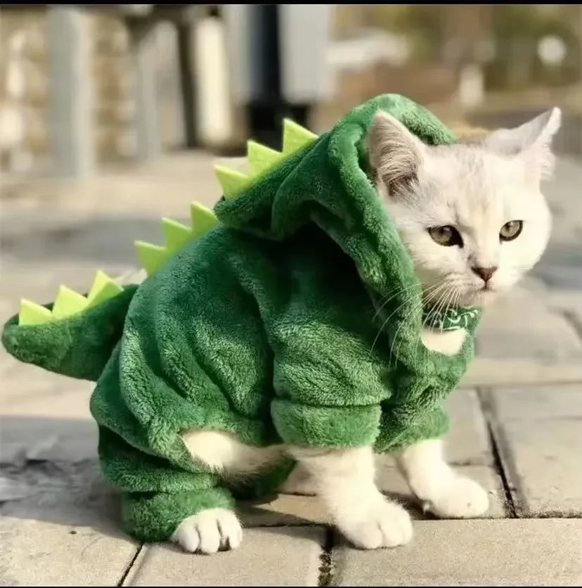 Rex Costume