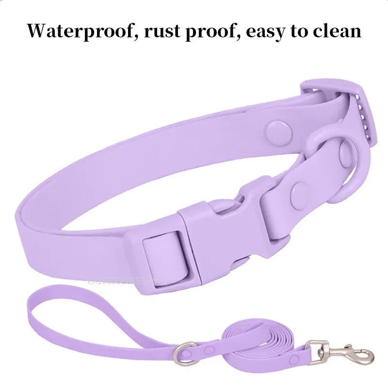Snap Happy Collar