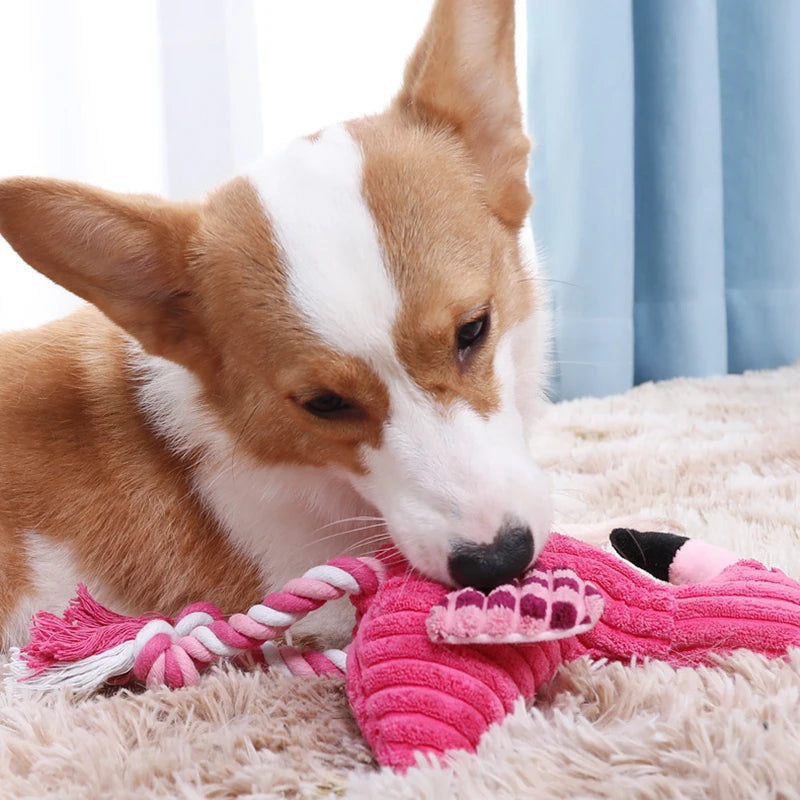 flamingo Squeaky
