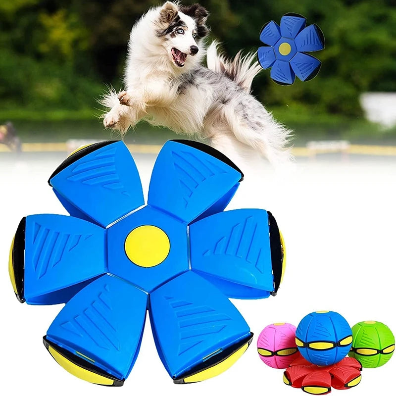 Zoomie Zinger Ball