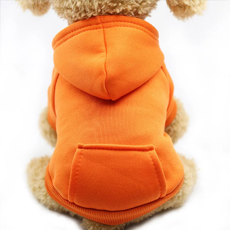 Pocket Paw