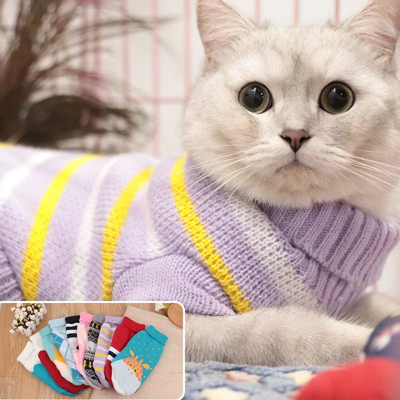 Purr Knit