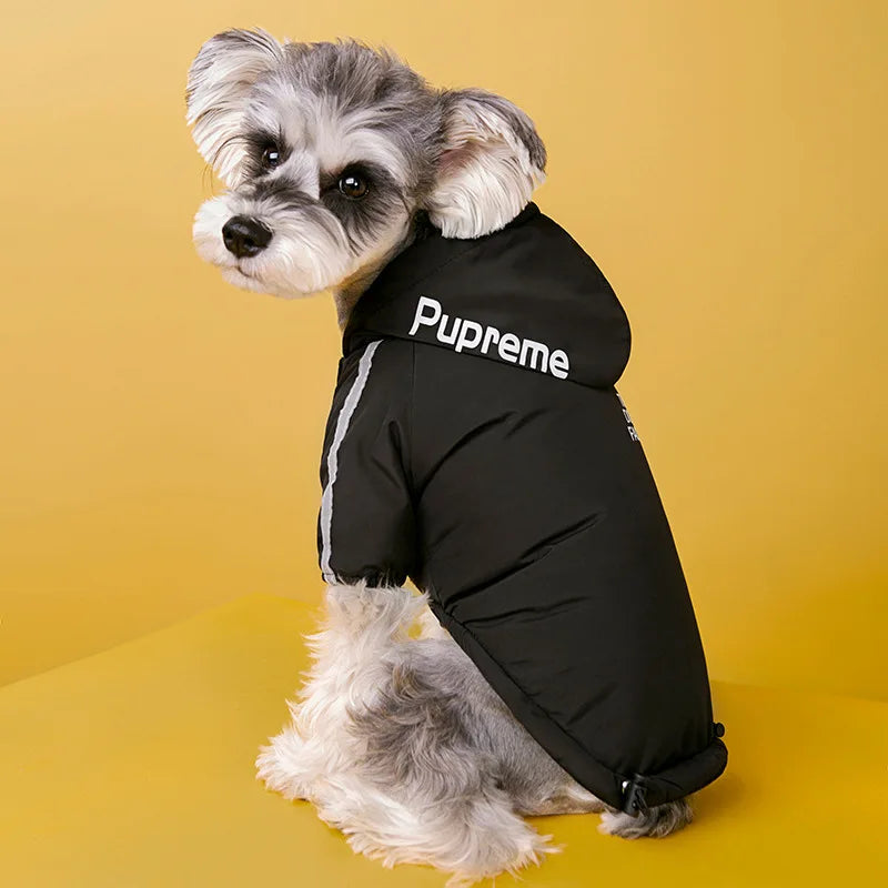 The Spruce Canine