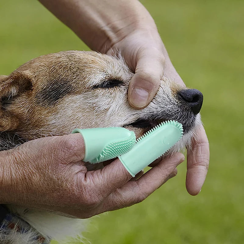 Toothbrush Grip