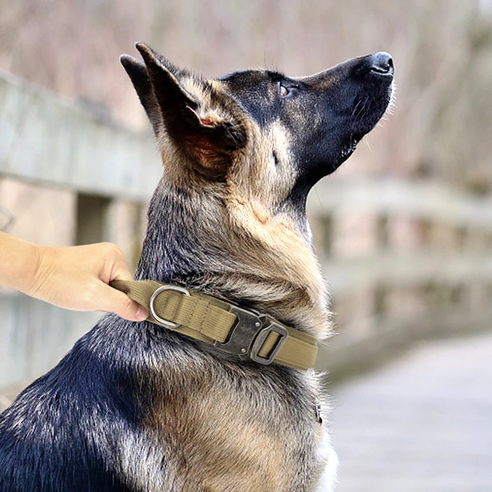 Control Collar