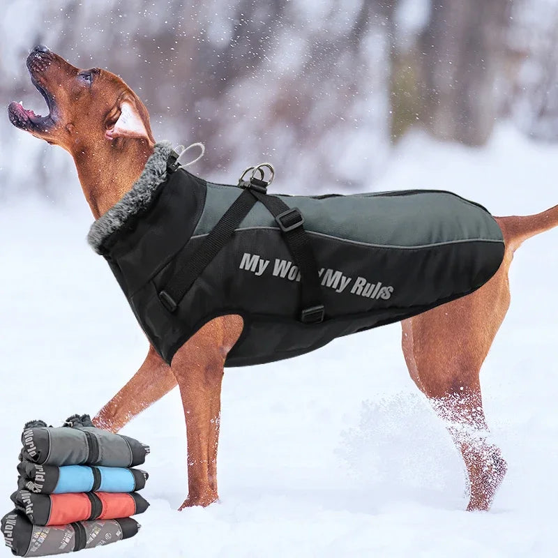 Winter Warrior