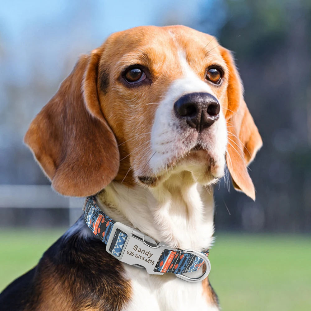 Buckle Personalized Collars