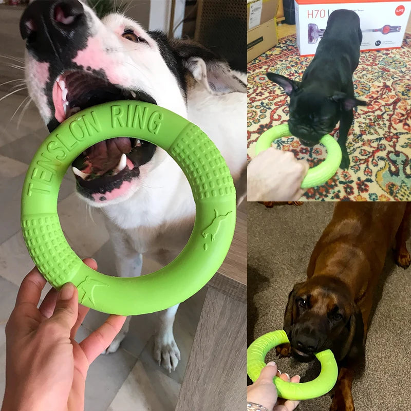 Dental Donut