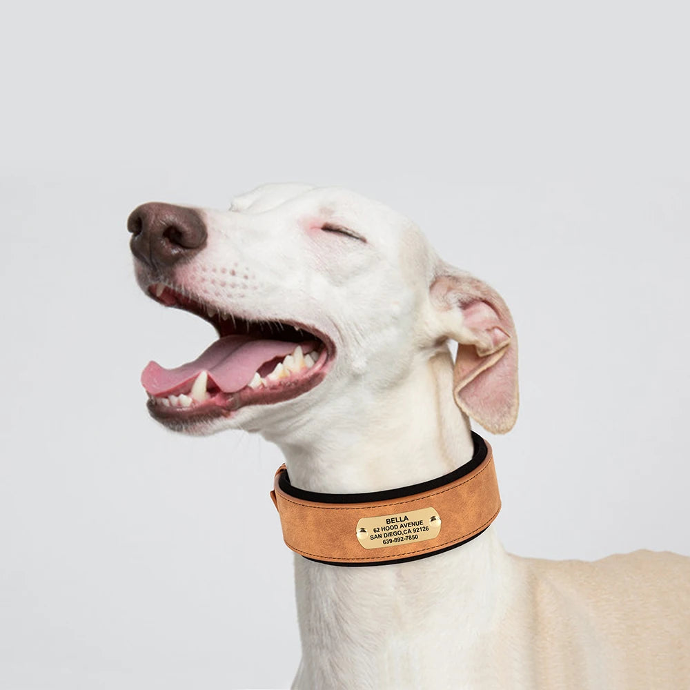 Luxe Collar