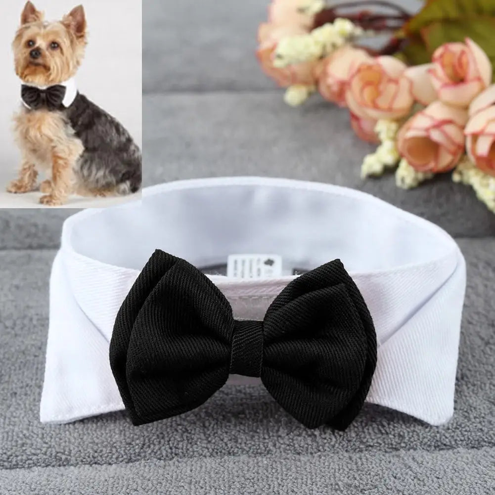 Tie Bow