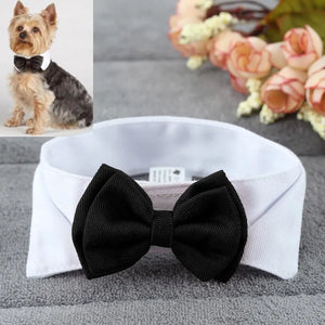 Tie Bow product detail view