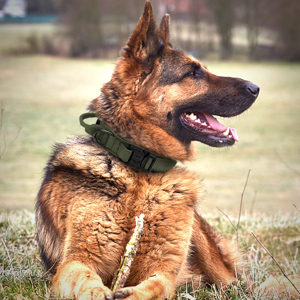 Control Collar