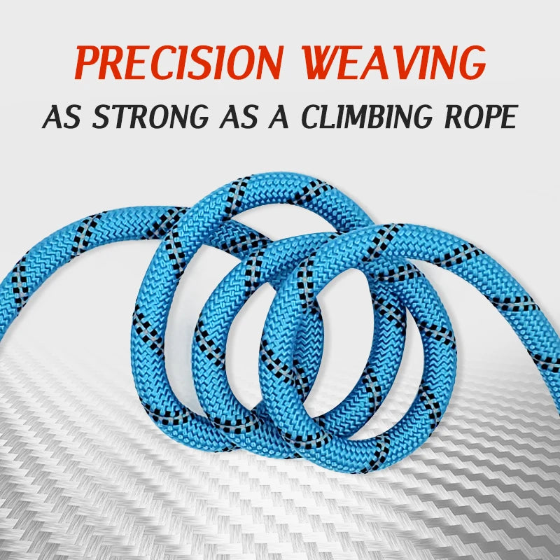 Shine & Stride Leashes