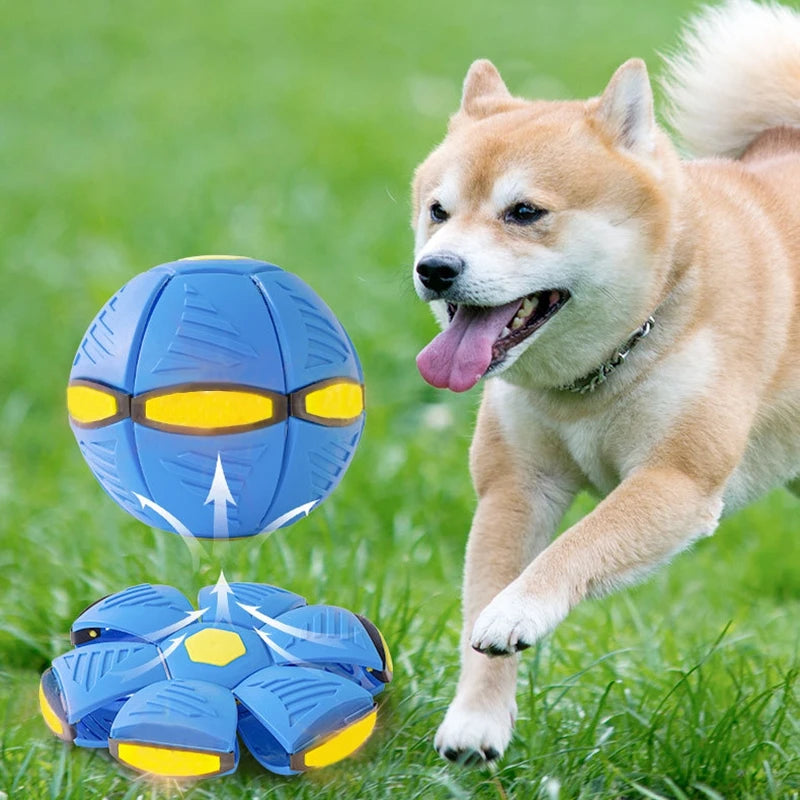 Zoomie Zinger Ball