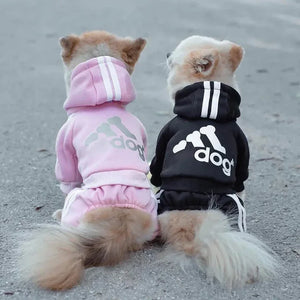 Adidog Athletic Fit in use with a pet