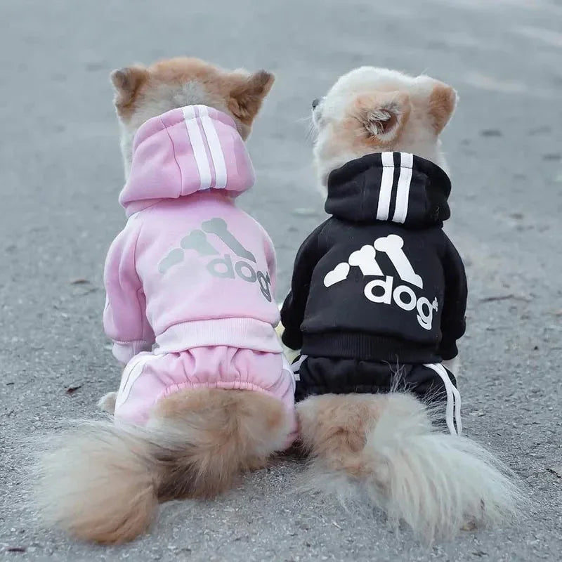 Adidog Athletic Fit in use with a pet