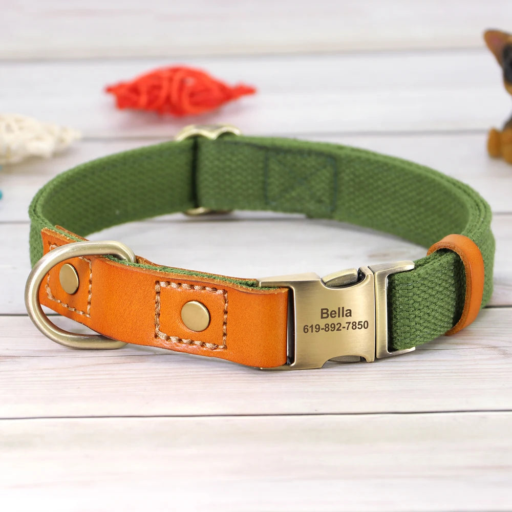 Pop Collar