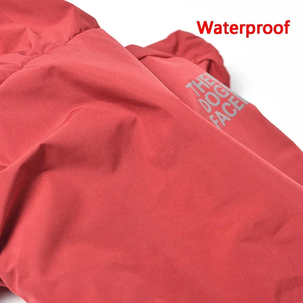 Reflective Dog Coat in use with a pet